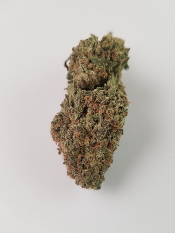 : PINEAPPLE-[EX]PRESS.